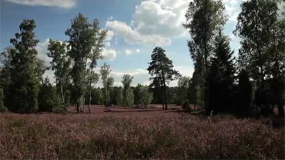 campingplads „Auf dem Simpel's“ omgivelser
